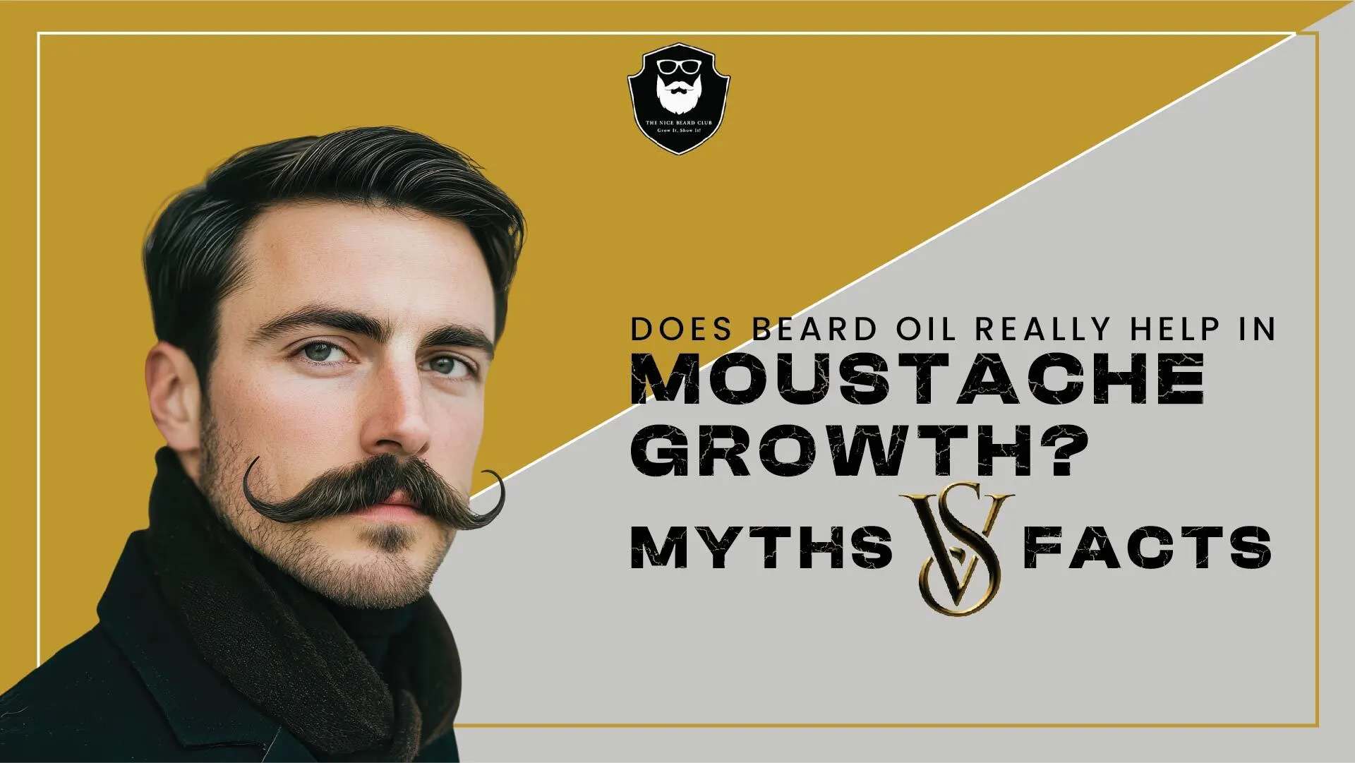 Moustache Growth - Blog
